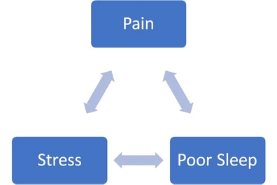 Vicious Cycles & Breathing