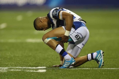 hamstrings